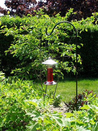 Hummingbird Feeder